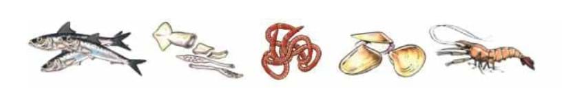 Baits for fishing Peterborough