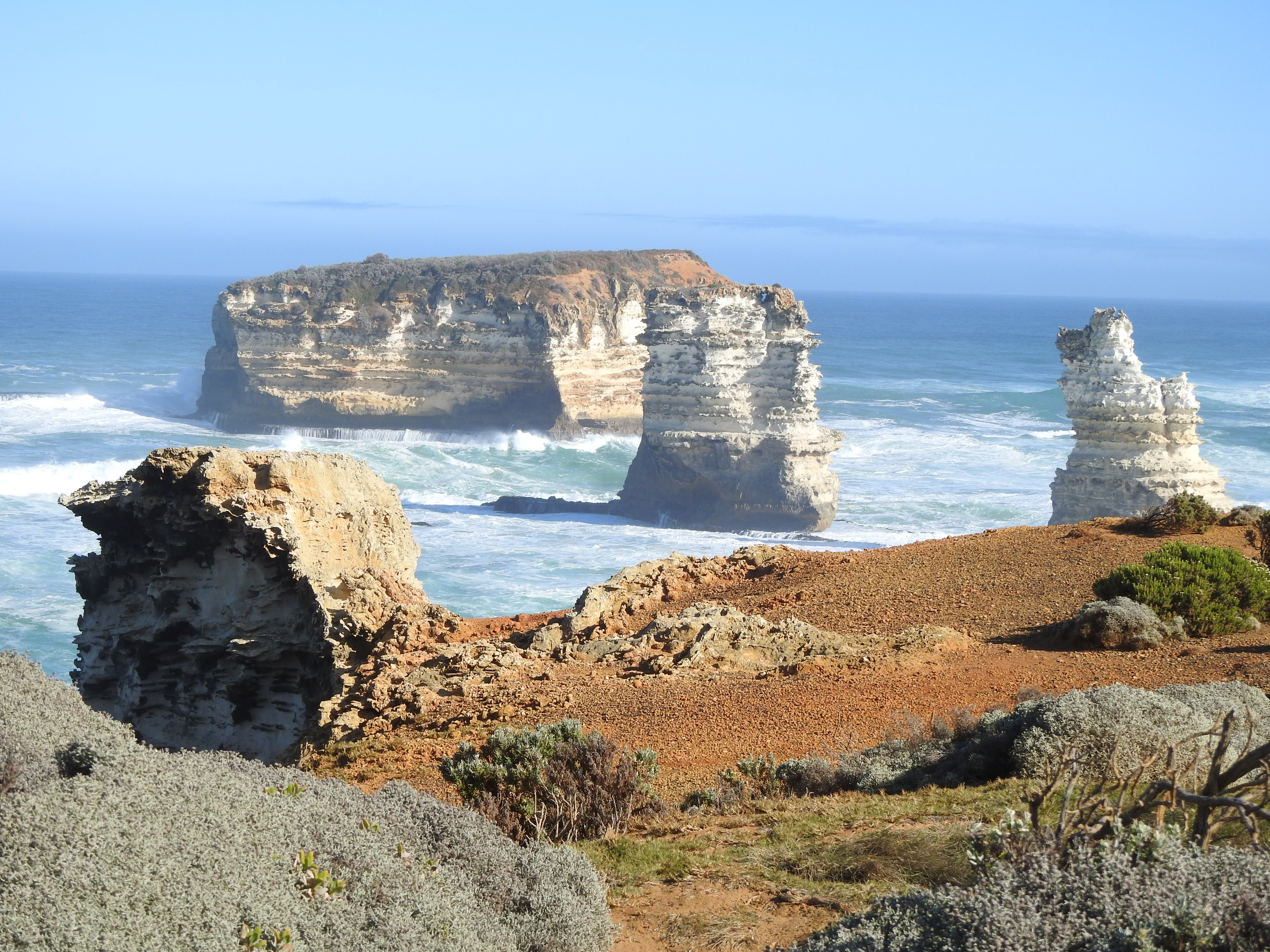 Coastal plant life, Peterborough