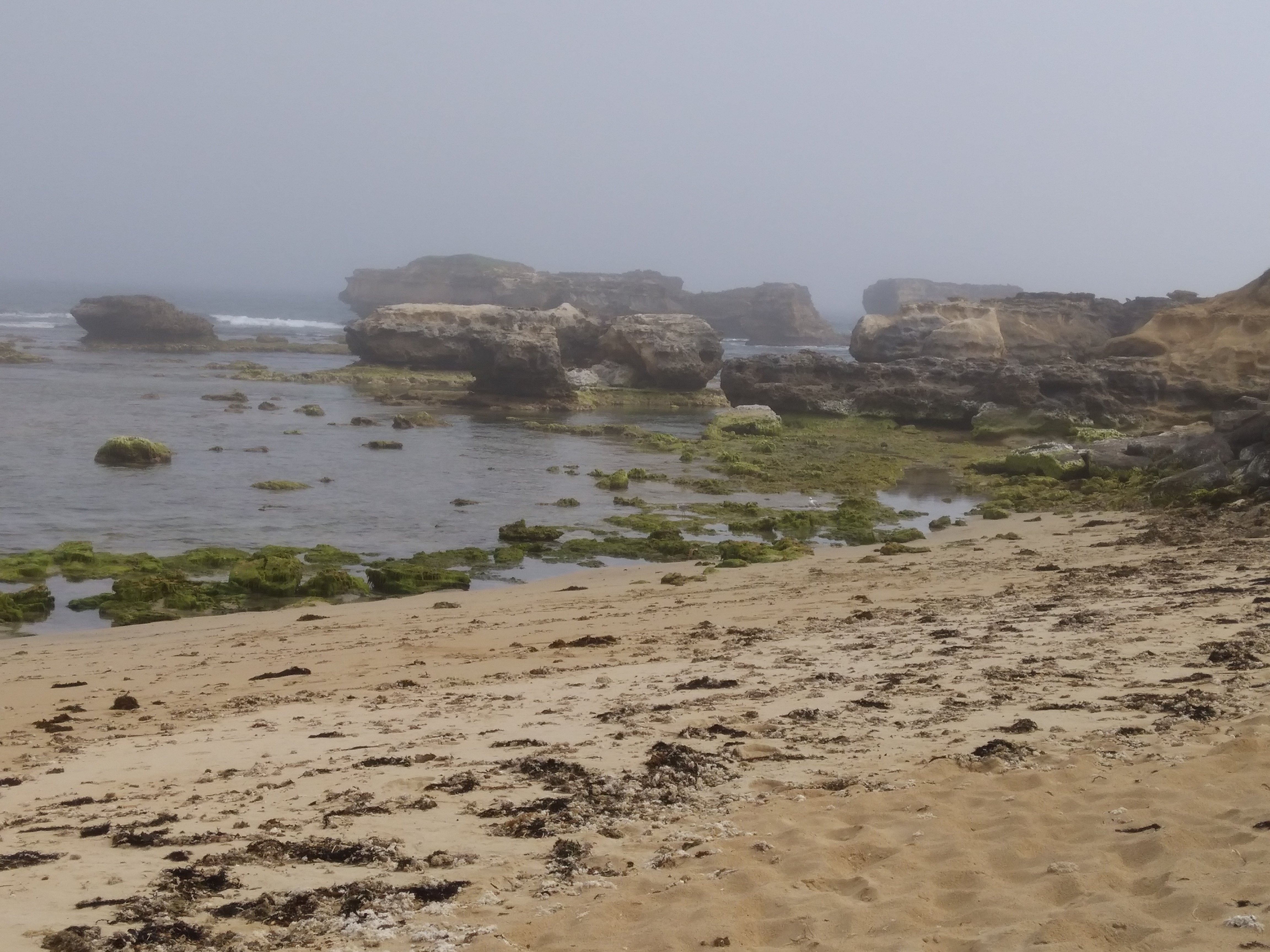 Wild Dog Cove, Peterborough