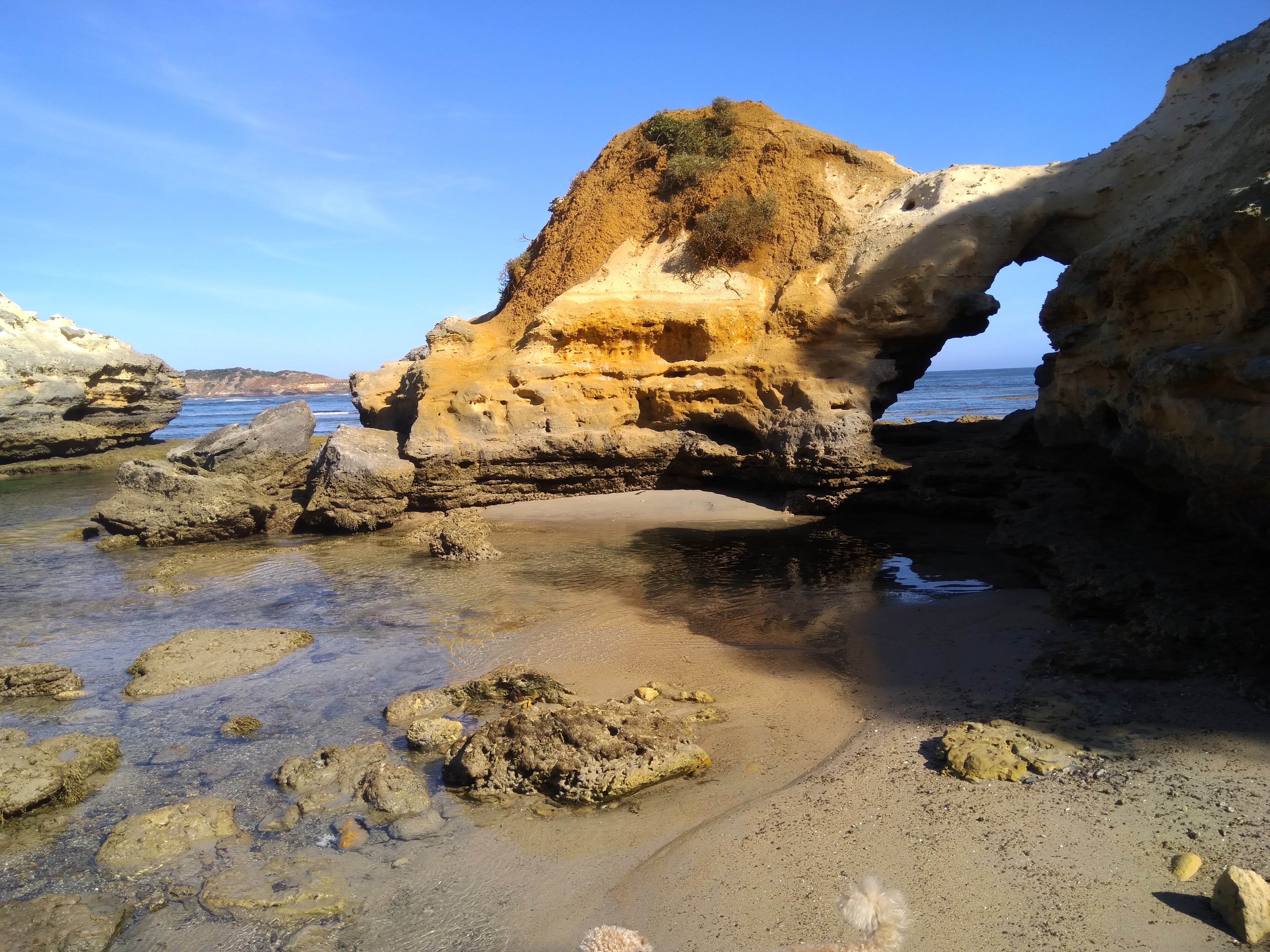 Wild Dog Cove archway