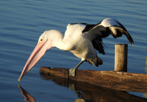 Nearby Coastal Delights