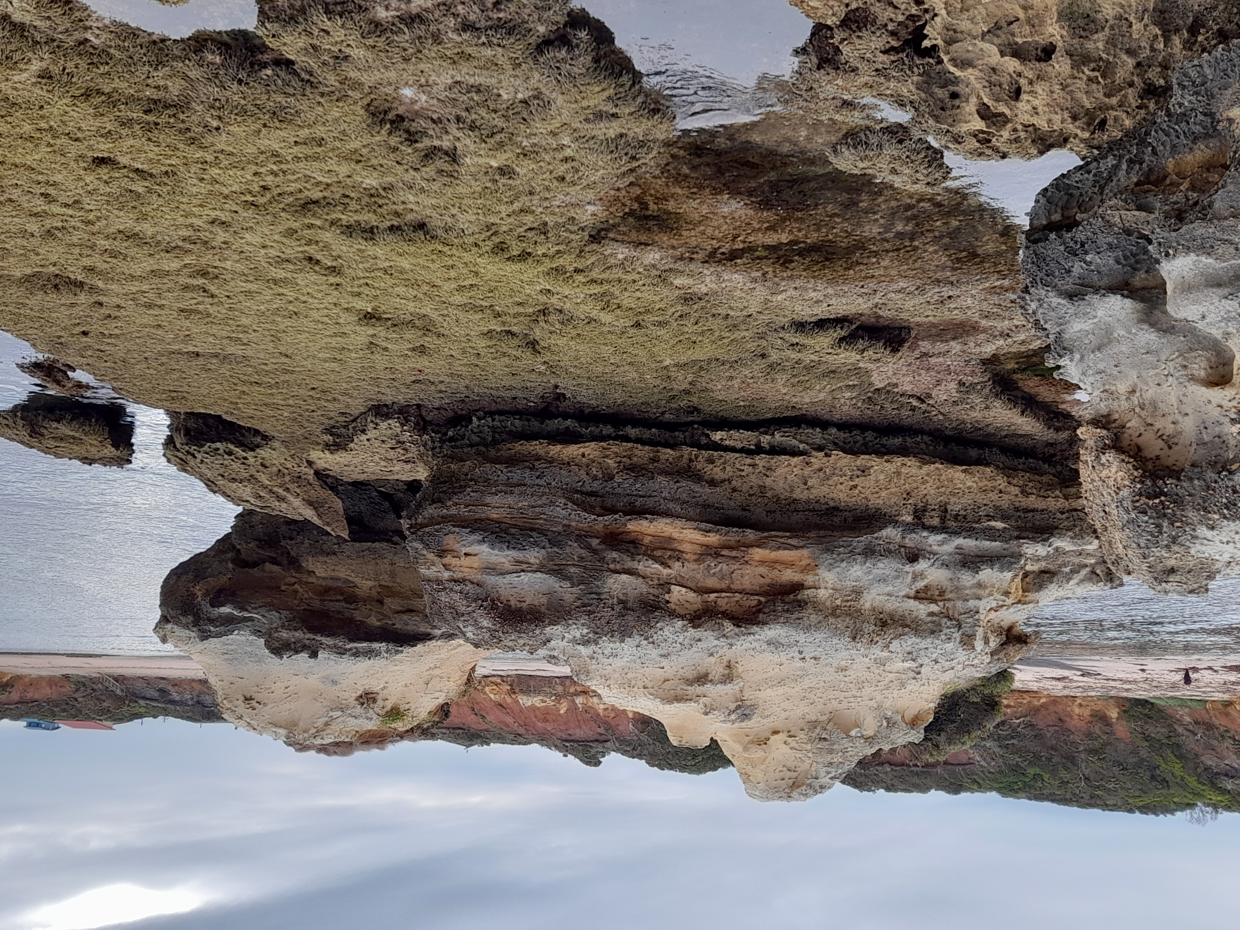Rocks and Pools in Wild Dog Cove