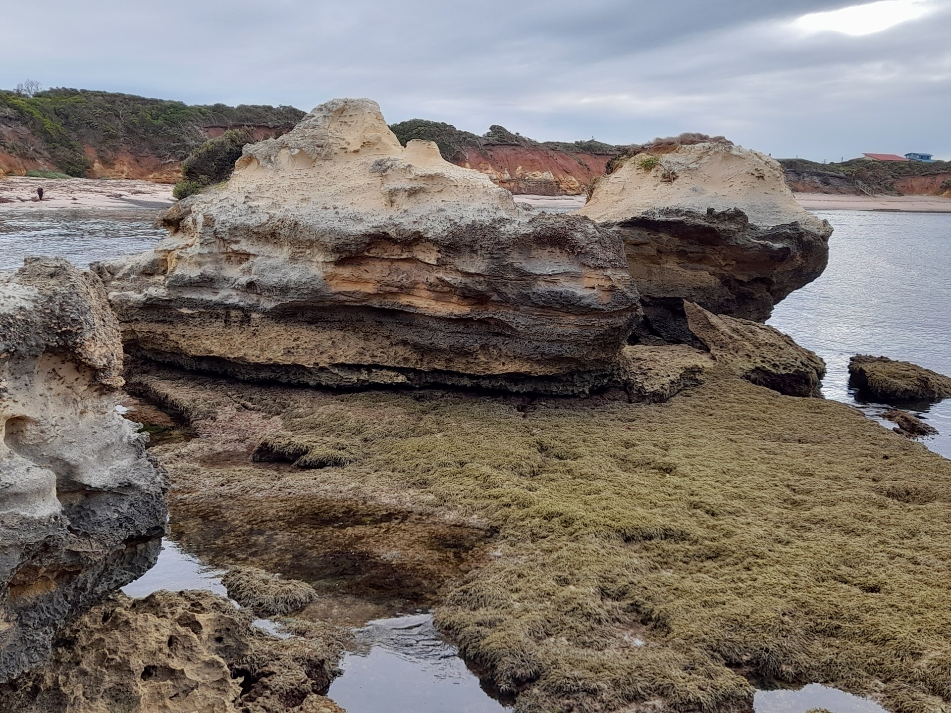 Wild Dog Cove, Peterborough, Victoria