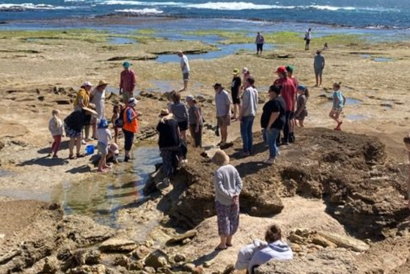 Peterborough Summer by the Sea Program