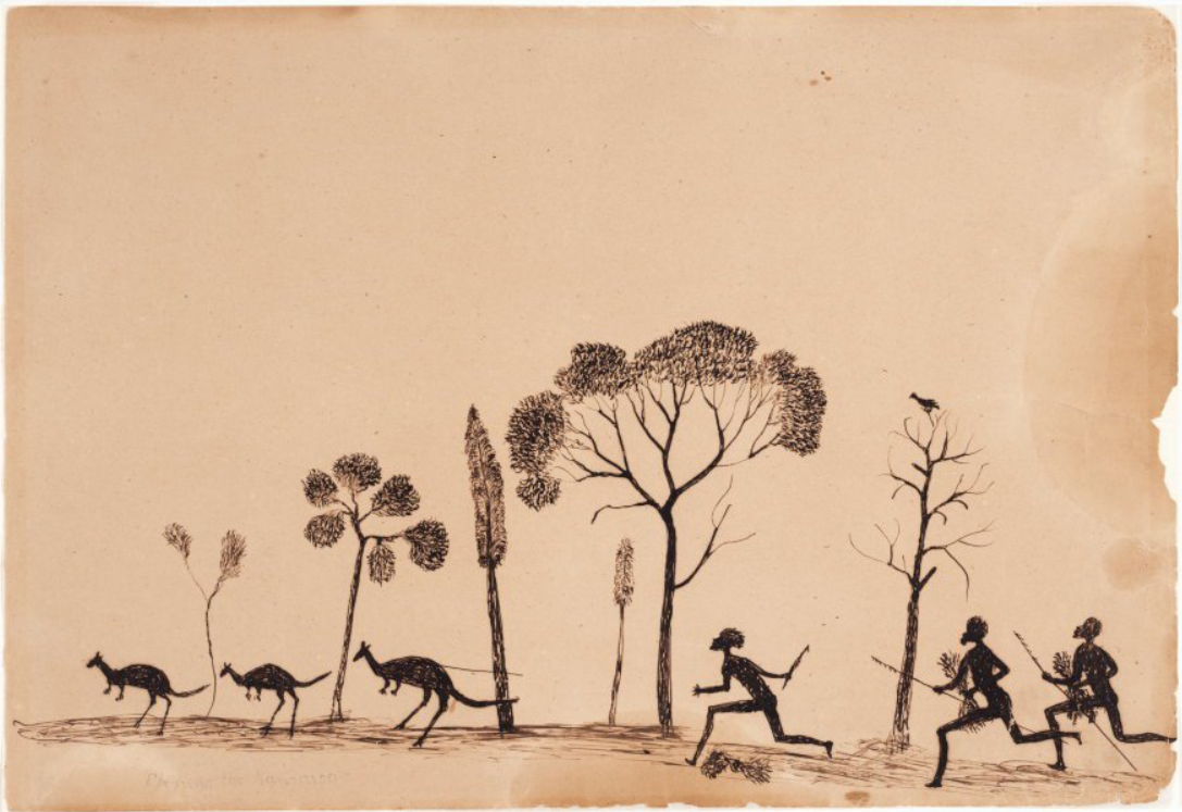 Hunting kangaroo by Tommy Rae