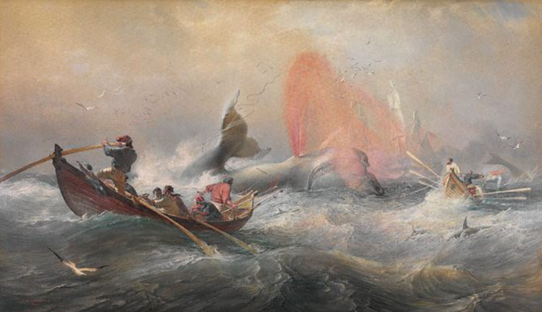 Whalers - early history